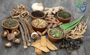 Power of Adaptogens: A Holistic Guide to Health and Vitality