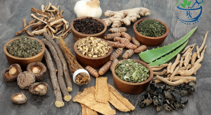 Power of Adaptogens: A Holistic Guide to Health and Vitality