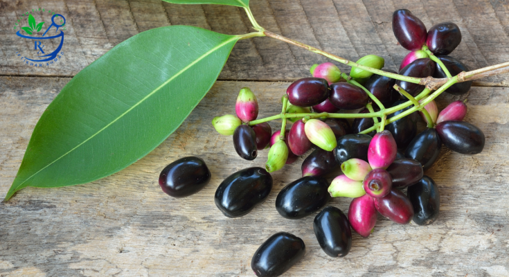 Health benefits of Java Plum